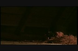 Captura de 'Fetish Underground' nº 14