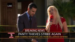 Captura de 'Panty Thieves, The' nº 37