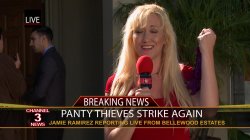 Captura de 'Panty Thieves, The' nº 38