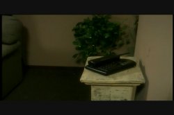 'Suckers Bet' screenshot nº 6