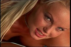 'Pussyman's International Butt Babes 2' screenshot nº 66