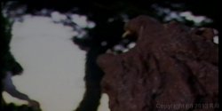 'Spankenstein' screenshot nº 74
