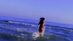 Captura de 'Beach Party' nº 66