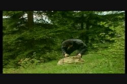 'Ejacula 2' screenshot nº 125