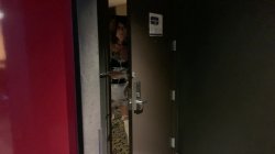 'Servicing Every Cock In the Building' screenshot nº 2