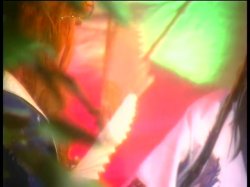 'Lusty Busty Dolls 1' screenshot nº 69