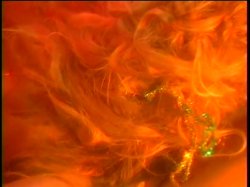 'Lusty Busty Dolls 1' screenshot nº 91