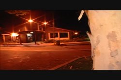 Captura de 'Hot Latin Pussy Adventures 49' nº 127