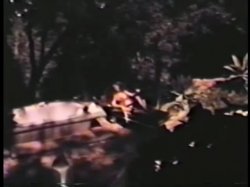 Captura de 'Softcore Nudes 624: '70s & '80s (All Color)' nº 11