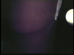 Captura de 'Softcore Nudes 624: '70s & '80s (All Color)' nº 113