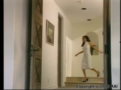 'Anal Intruder 5 / The Anal Twins' screenshot nº 2