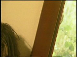 Captura de 'When Vivid Girls Go Asian' nº 36