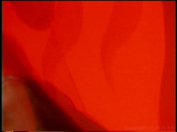 Captura de 'When Vivid Girls Go Asian' nº 89