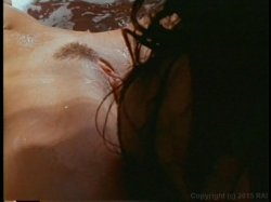Captura de 'When Vivid Girls Go Asian' nº 133