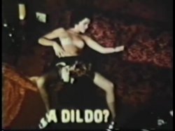 Captura de 'Peepshow Loops 613: 70's & 80's (All Color)' nº 103