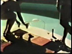 Captura de 'Peepshow Loops 585: '70's & '80's (All Color)' nº 111