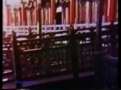 Captura de 'Peepshow Loops 69: 70's & 80's All Color' nº 73