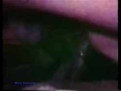 Captura de 'Peepshow Loops 69: 70's & 80's All Color' nº 125