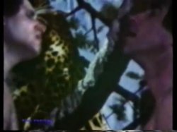 Captura de 'Peepshow Loops 69: 70's & 80's All Color' nº 126