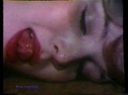 Captura de 'Peepshow Loops 69: 70's & 80's All Color' nº 137