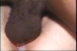 Captura de 'Chubby Babes 4' nº 41