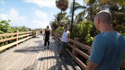 Captura de 'Miami Beach Party' nº 3