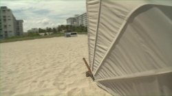Captura de 'Miami Beach Party' nº 68