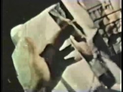 'Peepshow Loops 39: 1970s (All Color)' screenshot nº 2