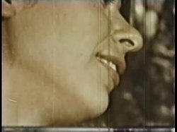 'Peepshow Loops 39: 1970s (All Color)' screenshot nº 130