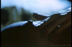 'Insatiable' screenshot nº 2