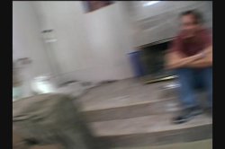 'Latina Crack Attack' screenshot nº 89