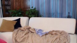 'AYCE: All You Can Eat Pussy Buffet' screenshot nº 42