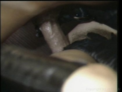 Scene 8