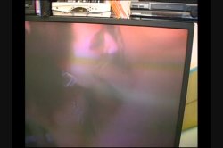 'Nut Busters 6' screenshot nº 109
