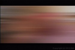 'Nymphos In Nylons' screenshot nº 135