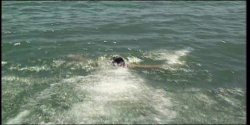 'Anna Malle's Swing Life: Luv Boat' screenshot nº 26