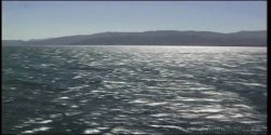 'Anna Malle's Swing Life: Luv Boat' screenshot nº 7