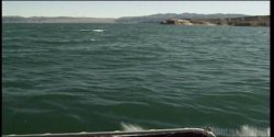 'Anna Malle's Swing Life: Luv Boat' screenshot nº 128