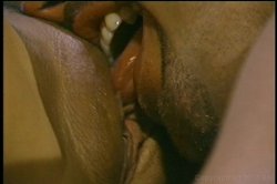 Captura de 'Unforgettable Blowjobs' nº 1