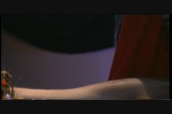 Captura de 'Hall of Fame: Christy Canyon' nº 23