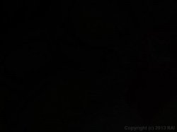 'Hot Sexy Plumpers 23' screenshot nº 132