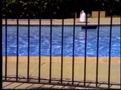 'Bubble Butts 18' screenshot nº 119