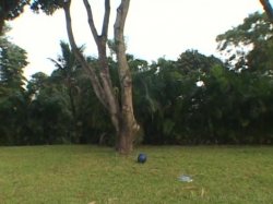 'Bi-Sexual Barebacking Vol. 9' screenshot nº 2