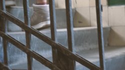 Captura de 'Instant Attraction' nº 3