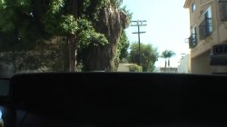 Captura de 'Adventures of Shorty Mac 12' nº 126