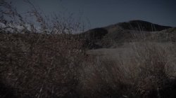 'Who Let The Black Man In? 4' screenshot nº 4