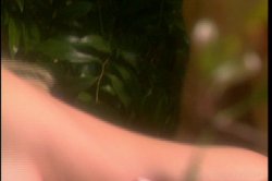'American Nymphette 4' screenshot nº 85