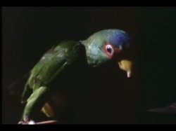Captura de 'Blue Heat' nº 8