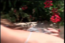 Captura de 'Pussyman's International Butt Babes 4' nº 105