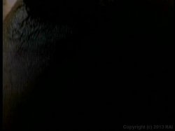 Captura de 'Real Big Tits 8' nº 129